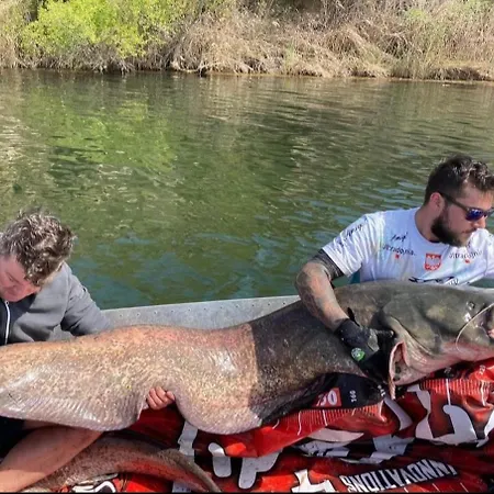 Big Fish River Ebro Сasa de vacaciones *